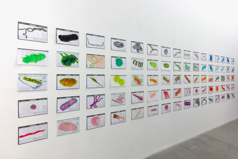 Renato Pera série 80 desenhos (bactérias), 2019 pastel oleoso sobre papel 20 x 28 cm