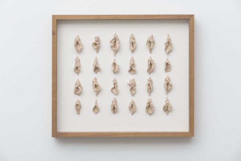 Brígida Baltar As conchas-vagina (mostruário), 2017 cerâmica esmaltada e caixa de madeira 42,5 x 49,5 x 7,5 cm