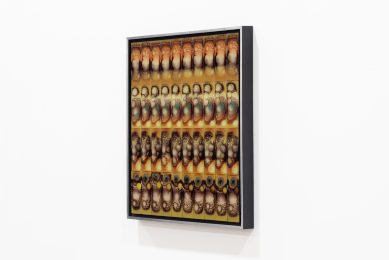 Abraham Palatnik Sem Título , 1973 placas de resina poliéster 59.5 x 48.5 x 1.5 cm