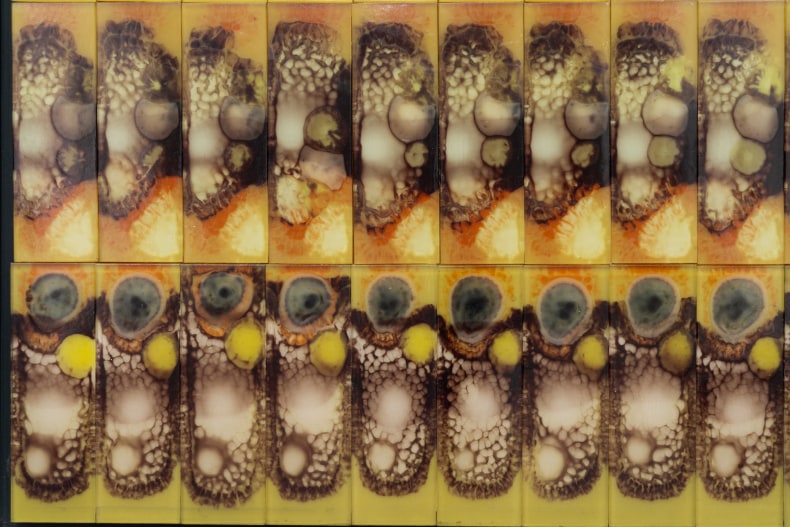 Abraham Palatnik Sem Título , 1973 placas de resina poliéster 59.5 x 48.5 x 1.5 cm
