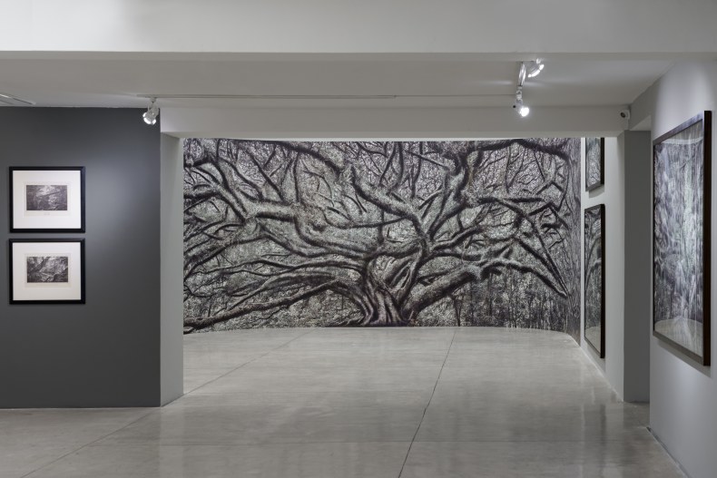 Vista da exposição Cássio Vasconcellos: Viagem pitoresca pelo Brasil, Nara Roesler São Paulo, 2024. Foto: Flavio Freiro. Cortesia do artista e Nara Roesler.
