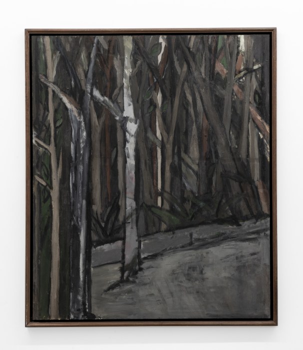 Fabio Miguez Paisagem, 1984 óleo sobre tela 130 x 110.5 cm