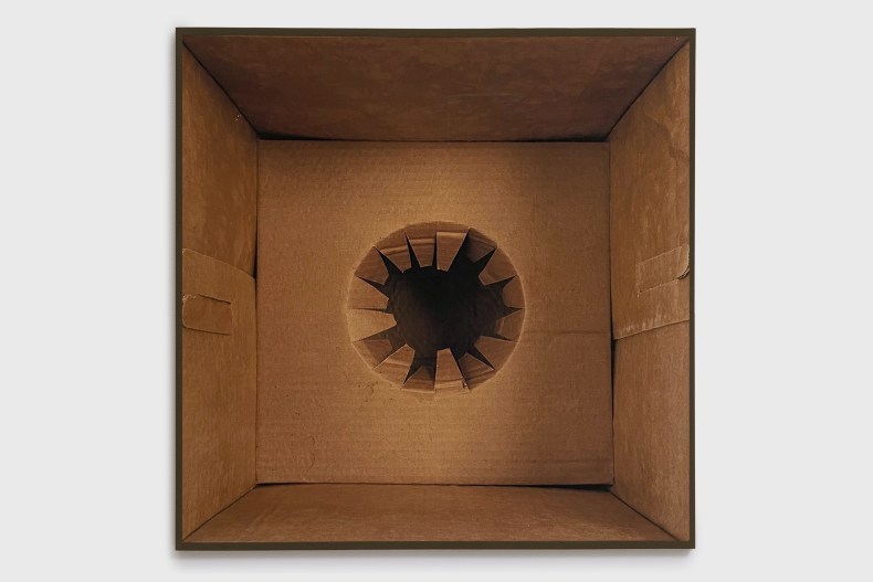 Lucia Koch 1 pot 2024 impressão em pigmento sobre papel algodão (verniz UV) ed 1/3 + 1 PA 150 x 148 cm