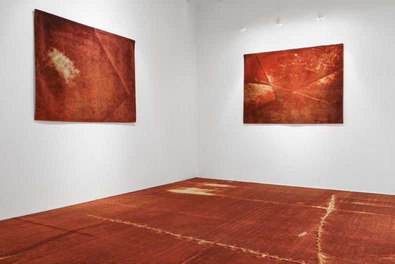 Vista da exposição Sangue Azul, Nara Roesler São Paulo, 2025. Foto: Flavio Freire. Cortesia do artista e Nara Roesler.