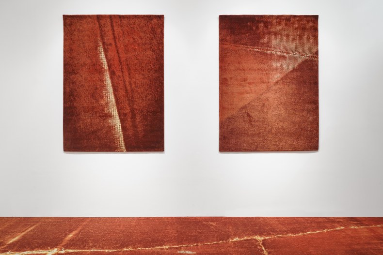 Vista da exposição Sangue Azul, Nara Roesler São Paulo, 2025. Foto: Flavio Freire. Cortesia do artista e Nara Roesler.