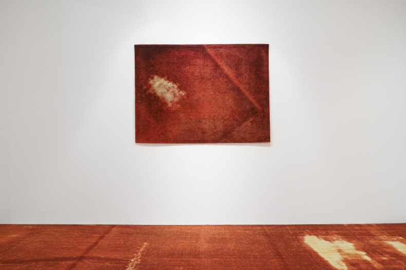 Vista da exposição Sangue Azul, Nara Roesler São Paulo, 2025. Foto: Flavio Freire. Cortesia do artista e Nara Roesler.