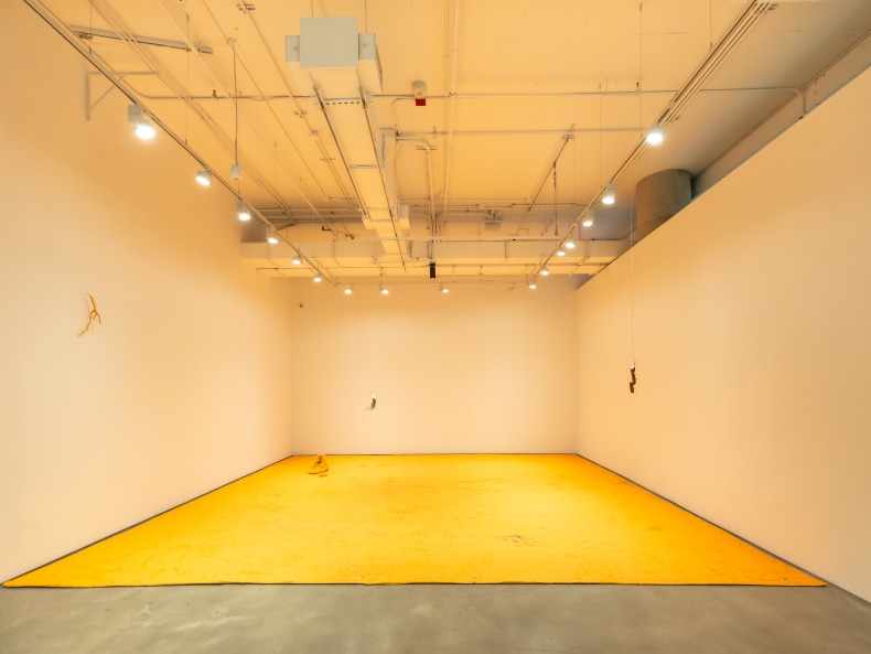 Vista da exposição Fragments for a cartography of return, Nara Roesler New York, 2025. Foto: Charles Roussell. Cortesia do artista e Nara Roesler.