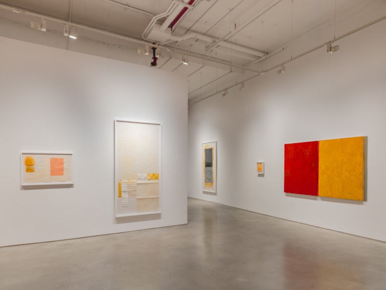 Vista da exposição Color Clímax, Nara Roesler New York, 2025. Foto: Charles Roussell. Cortesia dos artistas e Nara Roesler.