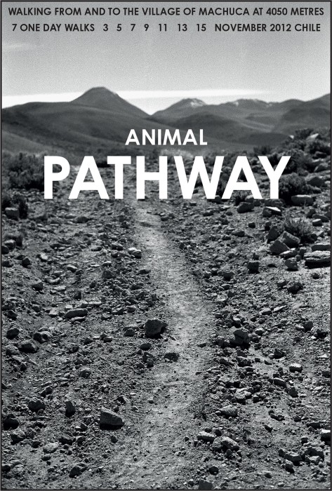 hamish fulton, animal pathway, chile, 2012