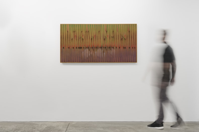 Abraham Palatnik Untitled, 2002 acrylic and ropes on canvas 27.8 x 55.1 in