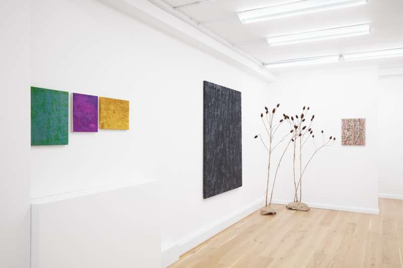 Previous gallery