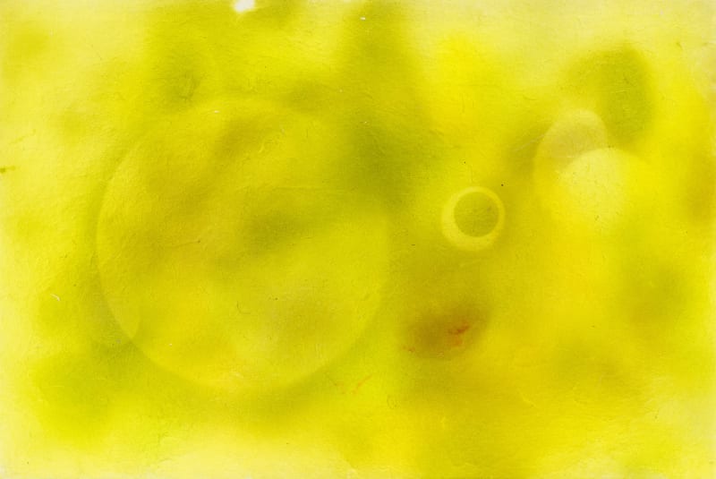 Sheila Isham, Untitled, circa 1967-69