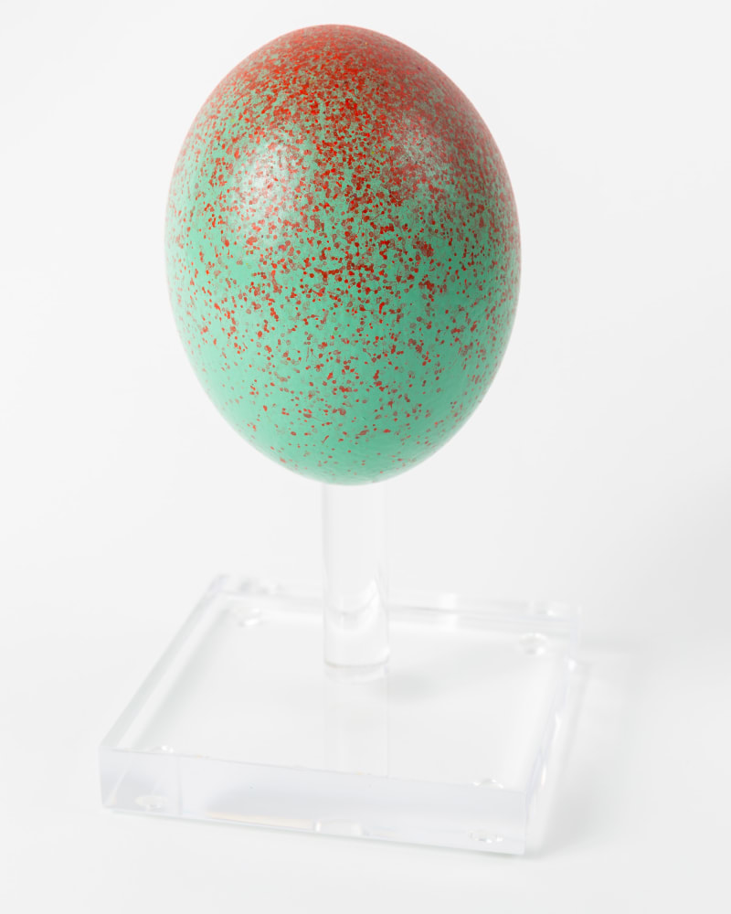John Knuth Untitled, 2021 Acrylic/flyspeck on ostrich egg on acrylic stand, 7 x 5 x 5 inches (17.8 x 12.7...