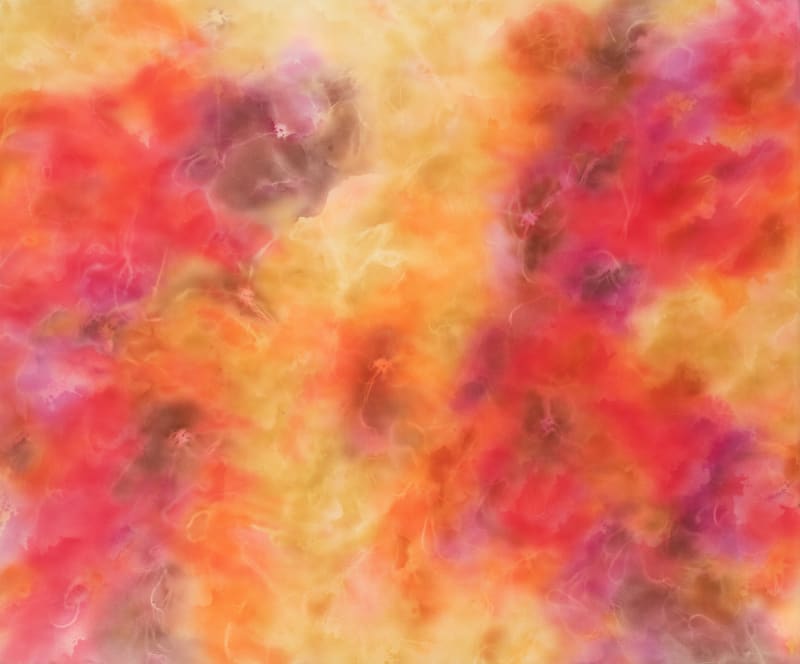 Sheila Isham, #10 Aleph / Phoenix Rising, 1972