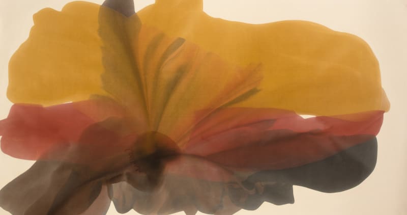 Irene Monat Stern, Untitled, circa 1970s