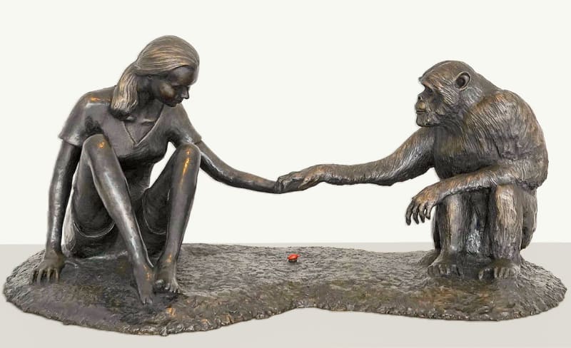 Marla Friedman, The Red Palm Nut, Jane Goodall and David Greybeard