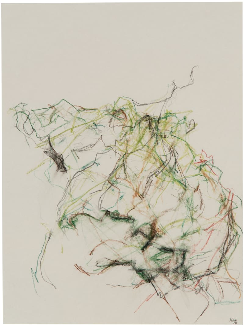 Hollis Heichemer #5, 2018 Pastel pencil on paper, 12 x 9 inches