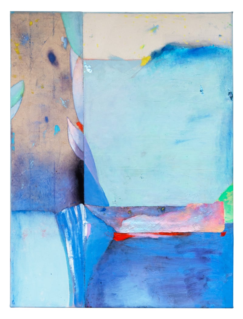 Dana James, The She Pirate, 2023