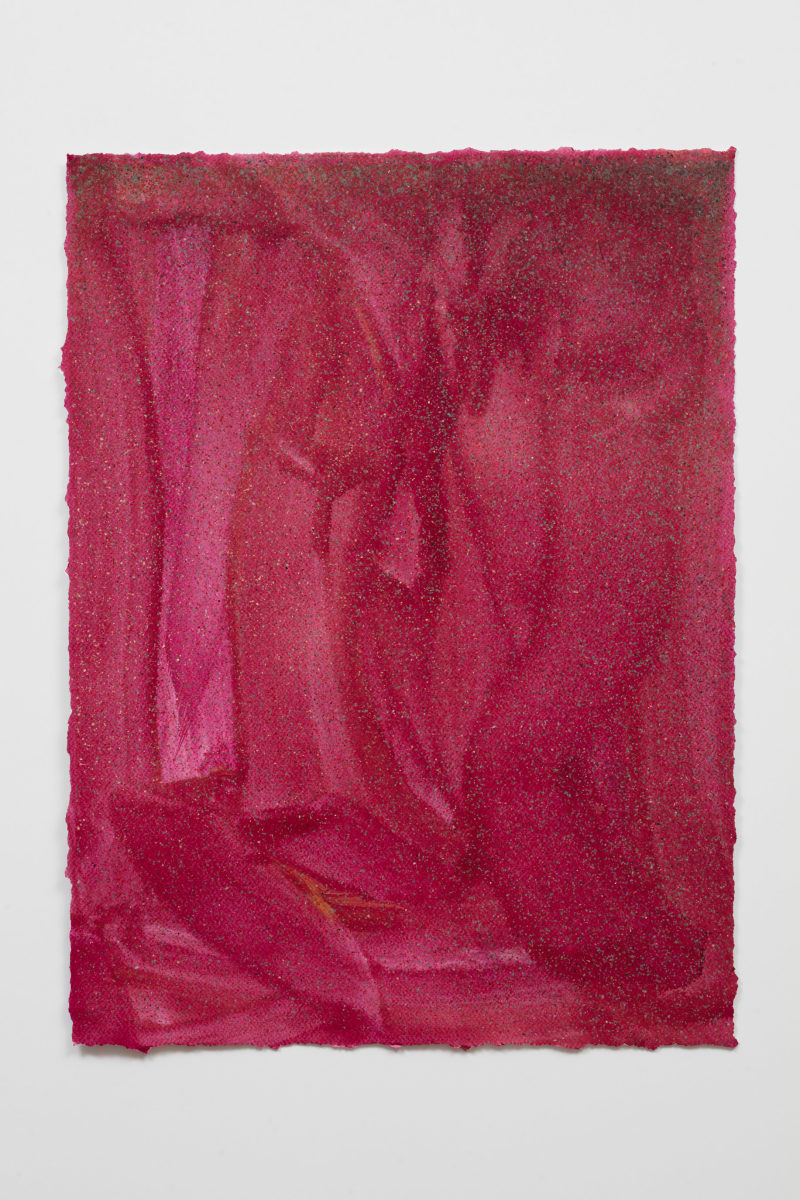 John Knuth Untitled, 2025 Acrylic/flyspeck on paper, 23 x 17 in. (58.4 x 43.2 cm)