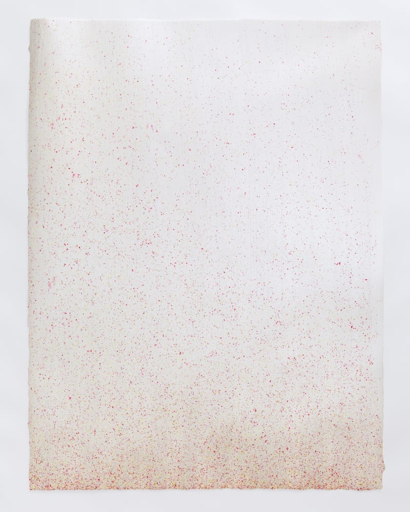 John Knuth Untitled, 2021 Acrylic/Flyspeck on archival cold press watercolor paper, 28 1/2 x 21 1/2 inches (72.4 x 54.6...