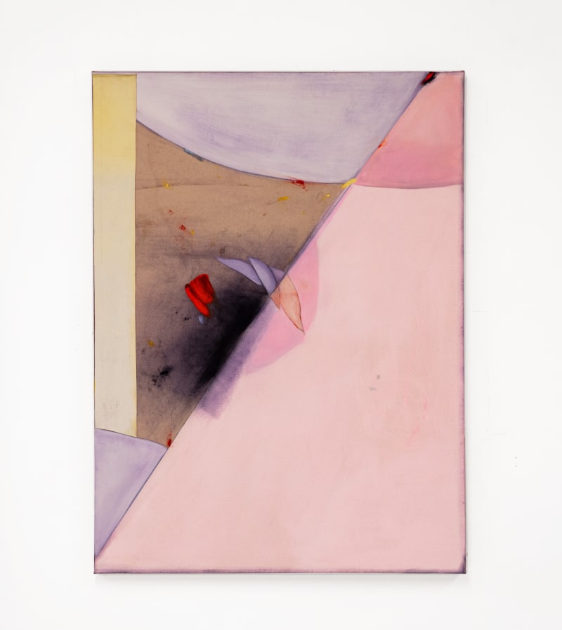 Dana James, The Violet Remnant, 2023