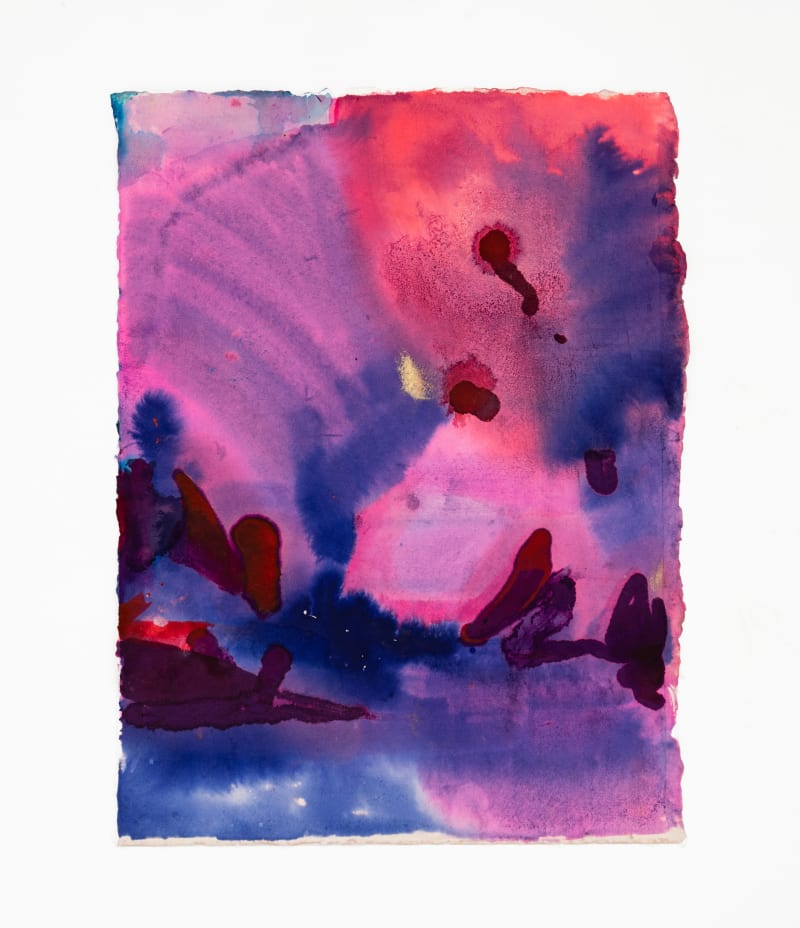 Dana James, The Southern Hemisphere, 2023