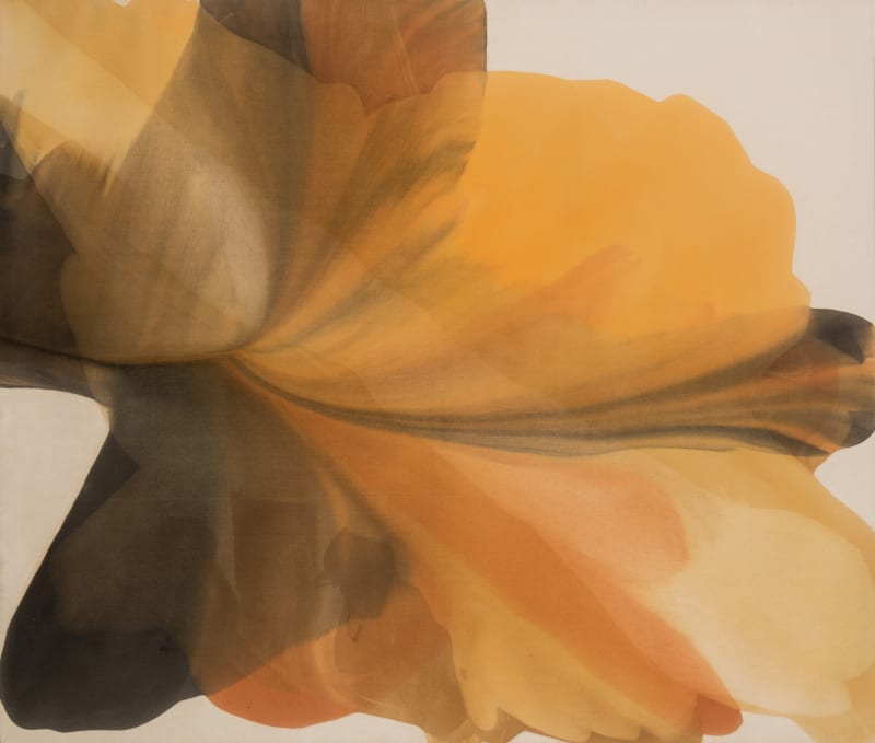 Irene Monat Stern Untitled, circa 1965-1975 Acrylic on unprimed canvas, 56 5/8 x 66 3/8 inches