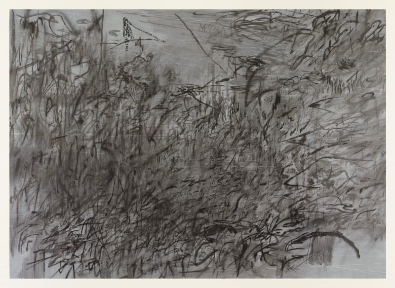 Julie Mehretu | Hoodnyx, Voodoo and Stelae | Marian Goodman Julie Mehretu | Hoodnyx, Voodoo and Stelae | Marian Goodman