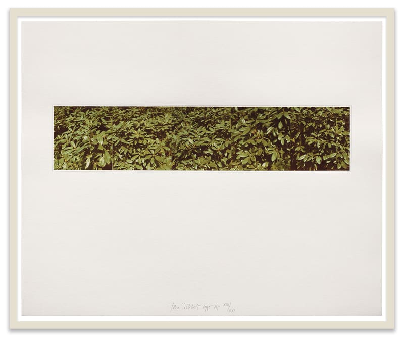 Jan Dibbets Untitled (Structure Piece), 1975 5 color photographs, mounted on rag paper Sheet: 20 x 24 in. (50.8 x...