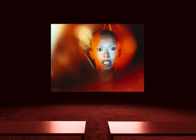Nan Goldin | Memory Lost | Marian Goodman