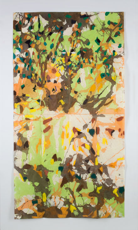 Gabriel Orozco Light Tiger, Lac Du Bourdon Summer, 2010