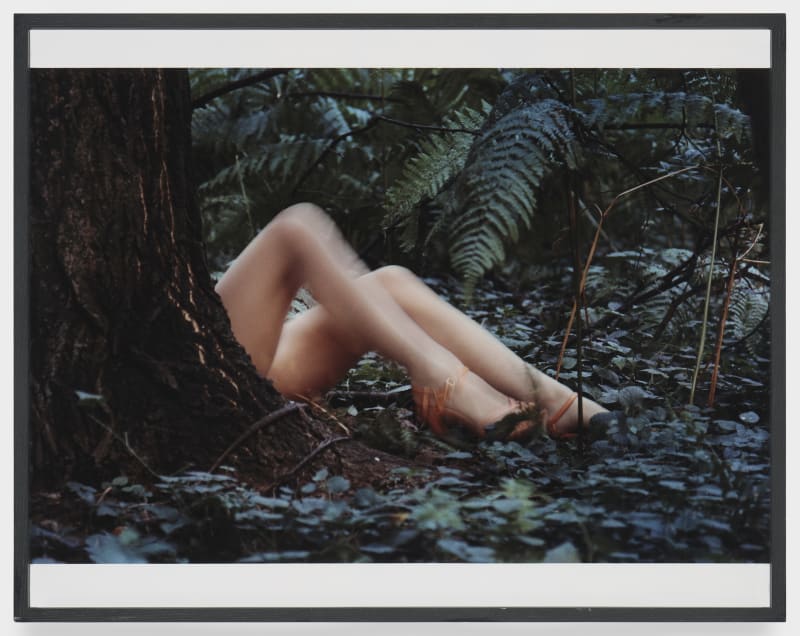 Lothar Baumgarten Konkav- Konvex (Concave - Convex), 1972