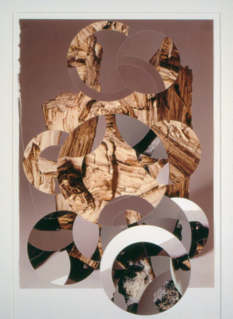 Gabriel Orozco Eroded Suizekis 7, 1998