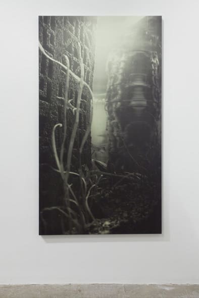 Cristina Iglesias Sin título, E.S. (Estudio 8/1), 2010