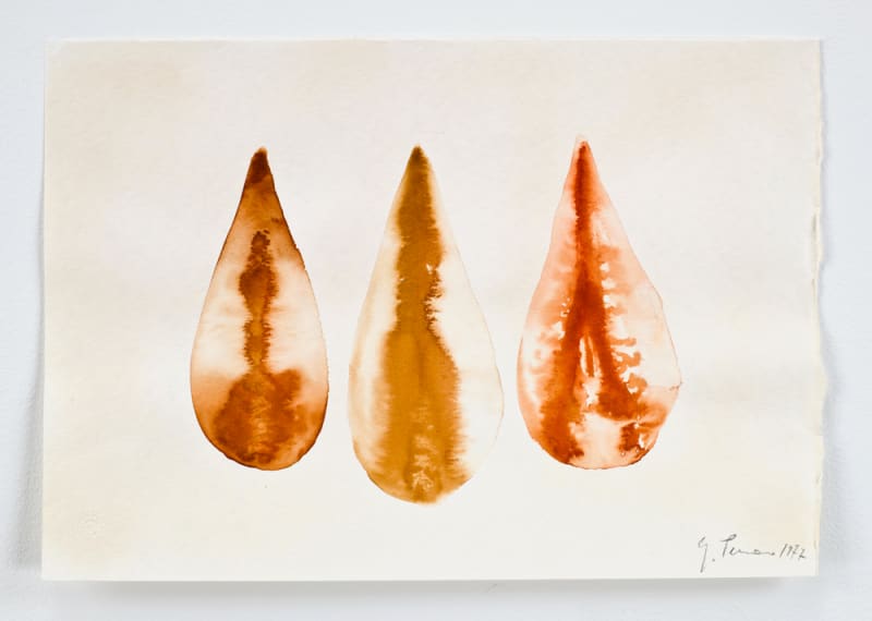 Giuseppe Penone Untitled, 1977