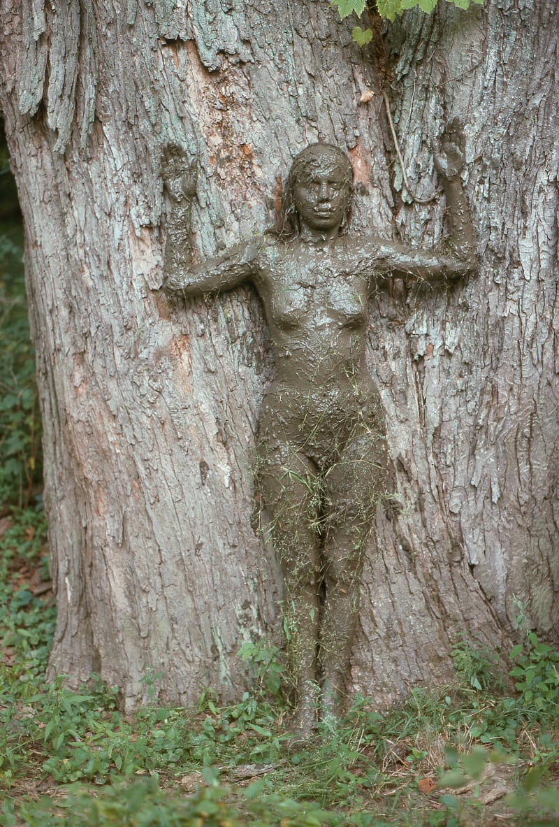 Ana Mendieta Árbol de la Vida, 1976