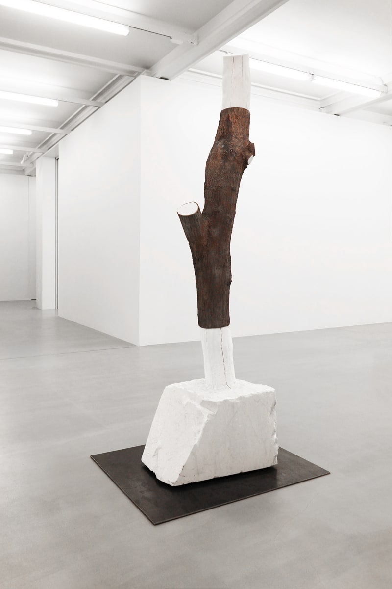 Giuseppe Penone Indistinti-confini - Tilaventum, 2012
