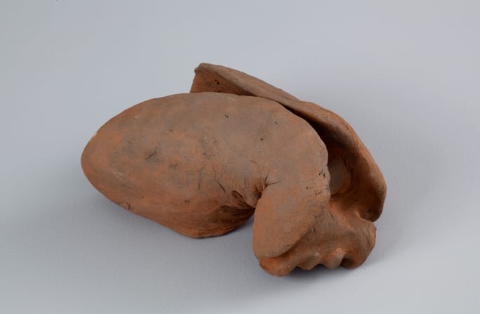 Gabriel Orozco Untitled, 2011