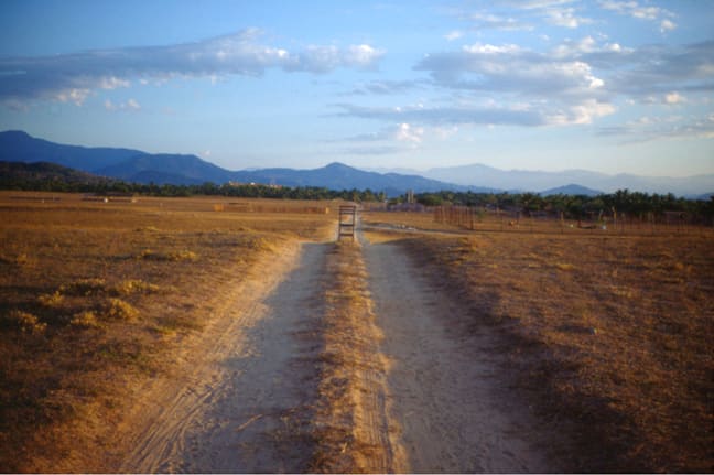 Gabriel Orozco Perro en silla, 2001
