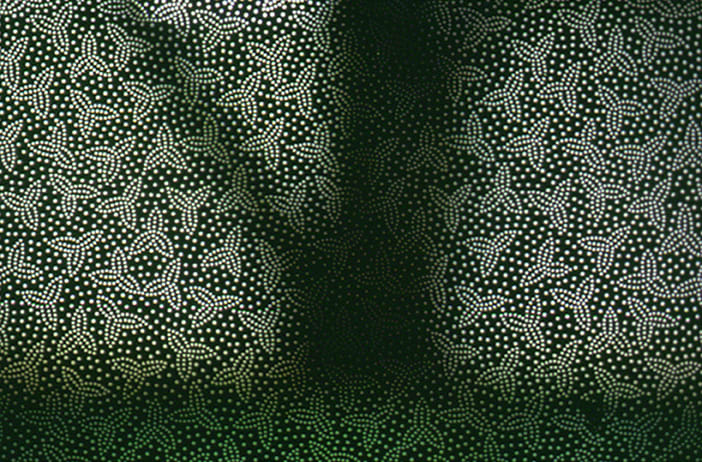 Gabriel Orozco Tree through leaves, 2001