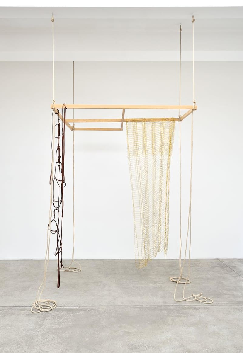 Leonor Antunes Anni #14, 2013