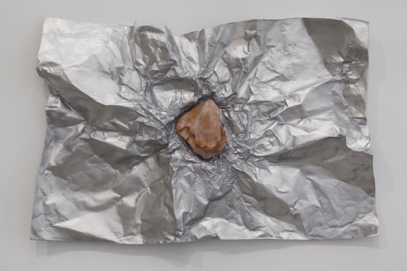 Giuseppe Penone Avvolgere la terra (To Enfold the Earth) (30), 2014