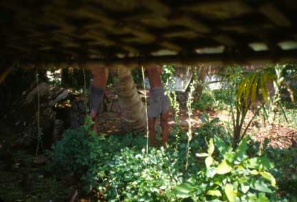 Gabriel Orozco Toallas Humedas (Wet Towels), 1998