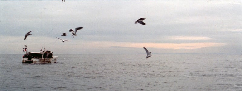 Tacita Dean Amadeus (swell consopio), 2008