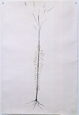 Giuseppe Penone Untitled, 2000