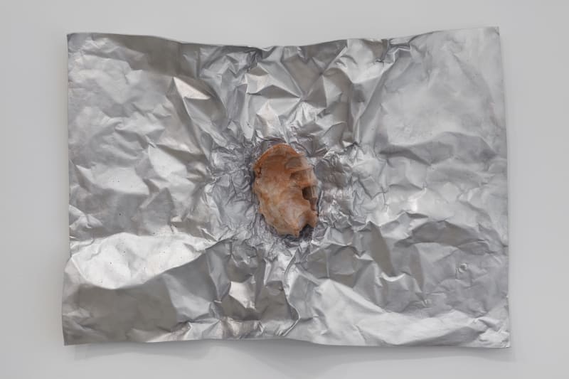 Giuseppe Penone Avvolgere la terra (To Enfold the Earth) (25), 2014