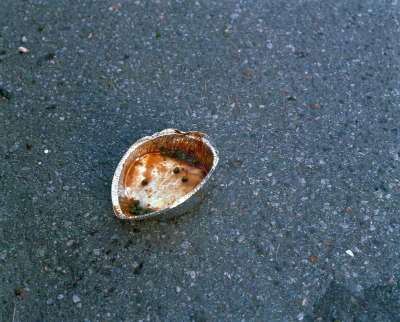 Jeff Wall Peas and Sauce, 1999