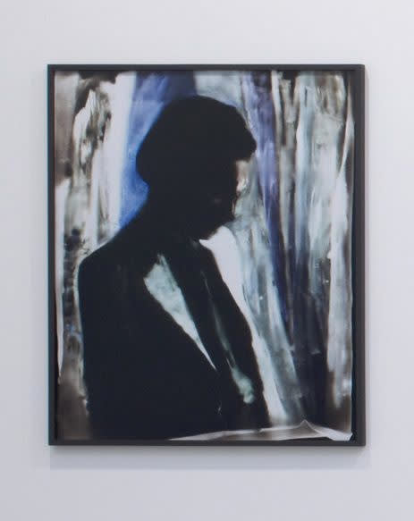 Matt Saunders Borneo (Rose Hobart) #14, Version 1, 2014