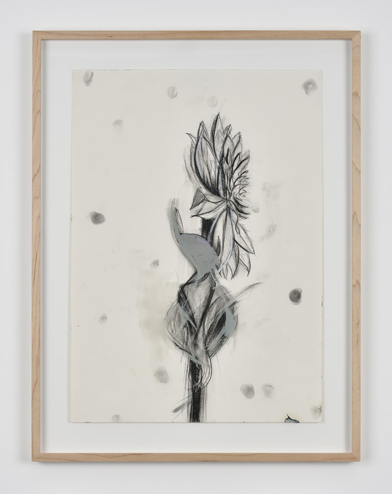 Sabine Moritz Dahlia 24, 24.8.2015, 2015