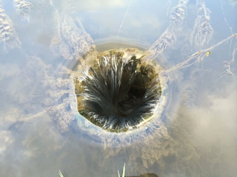 Gabriel Orozco Drain, 2015